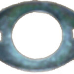 ΛΑΜΑΚΙ ΑΝΕΜΗΣ