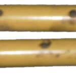 ΣΩΛΗΝΑΚΙΑ ΑΝΕΜΗΣ